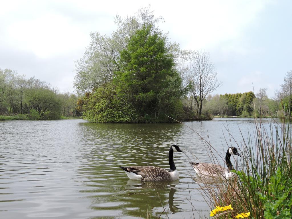 Bodmin Holiday Park Lanivet Екстер'єр фото